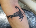 škorpión tetovanie