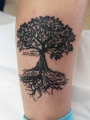tetovanie strom